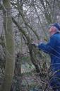 Snoeiwerk De Hege Stins, 30 mrt 2007 006.jpg