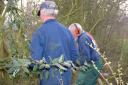 Snoeiwerk De Hege Stins, 30 mrt 2007 011.jpg