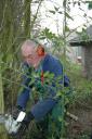 Snoeiwerk De Hege Stins, 30 mrt 2007 012.jpg