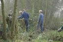 Snoeiwerk De Hege Stins, 30 mrt 2007 018.jpg