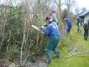 Tuinwerkzaamheden 1-3-2013 015.JPG