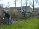Tuinwerkzaamheden 1-3-2013 002.JPG
