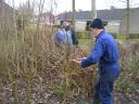 Tuinwerkzaamheden 1-3-2013 004.JPG