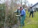 Tuinwerkzaamheden 1-3-2013 013.JPG