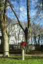 DSC02905.jpg