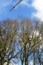 DSC02907.jpg
