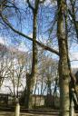 DSC02906.jpg