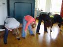 20080405-Een kast vol verhalen051.jpg