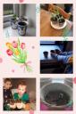 collage-_2_.jpg
