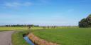 IMG-20221009-WA0001.jpg